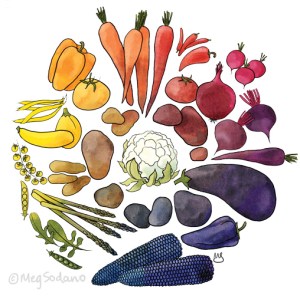 veg-color-wheel-white