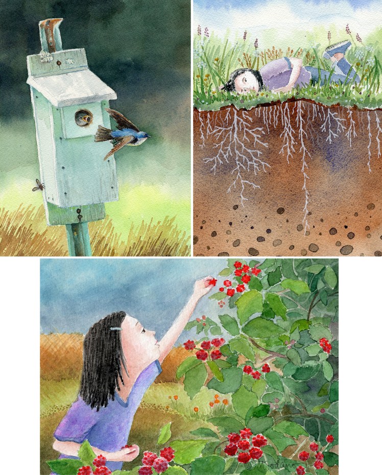 swallow-roots-raspberries